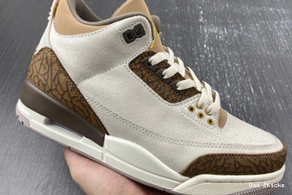Air 379 StreetReady 3 “Palomino” 9353 CT8532- Jordan 0811